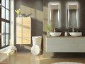 Badezimmerspiegel-mit-Beleuchtung-F568L3____271_4